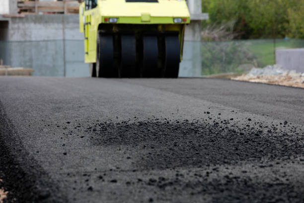 Best Driveway Pavers Near Me  in Orlando, FL